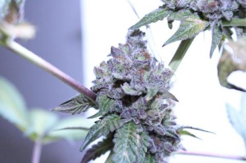 Rainbow Road - картинка 9