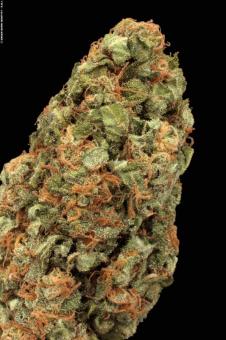 Auto White Russian - картинка 2