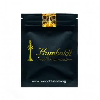 Pineapple Chem Auto - картинка 1