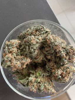 Super Lemon Haze - картинка 2