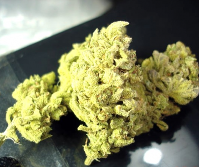 No Name - картинка 3