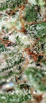 Cookies and Cream - картинка 6