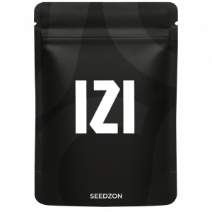 Auto Big Joy genetics