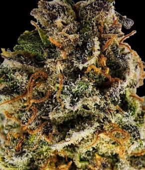 Blue Auto Mazar - картинка 5