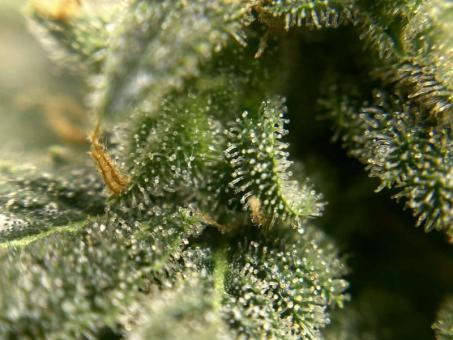 Super Mad Sky Floater - картинка 3