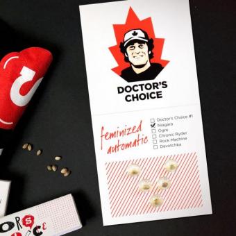 Niagara Auto - картинка 3