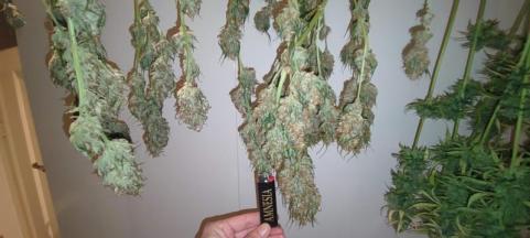 Cookies and Cream - картинка 8