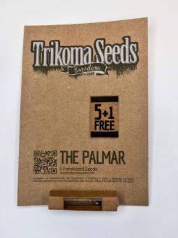 The Palmar - картинка 3