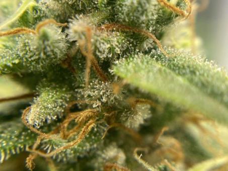 Super Mad Sky Floater - картинка 2