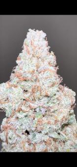 HighCloudZ - картинка 5