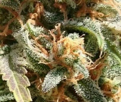 AK-47 - картинка 4