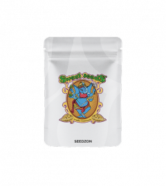 Purple Punch OG XL Auto