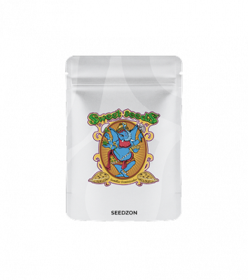 Orange Apricot Glue XL Auto