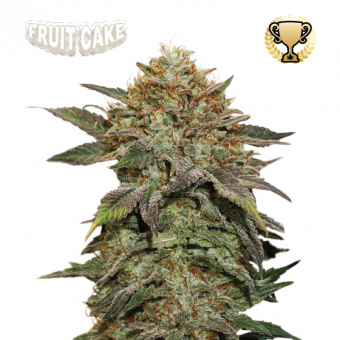 Fruit Cake - картинка 1