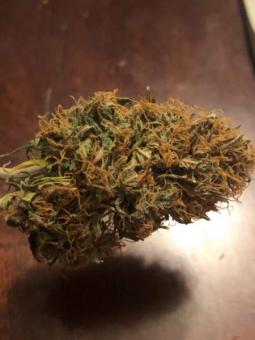 Zkittlez OG Auto - картинка 3