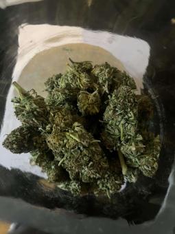 Passion #1 - картинка 4