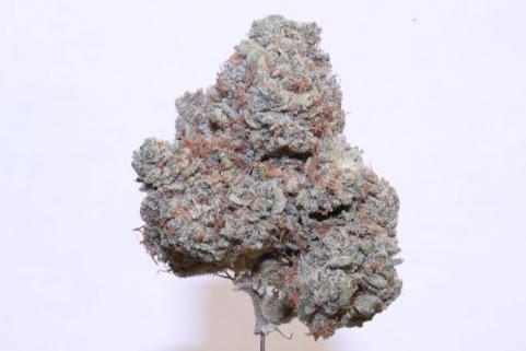 Blue Haze x Gelato 41 Auto - картинка 6