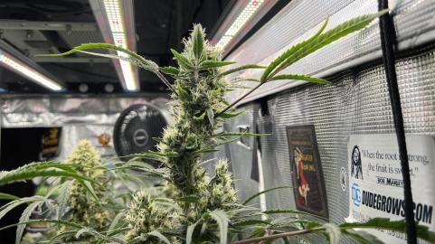 Patagonia - картинка 5