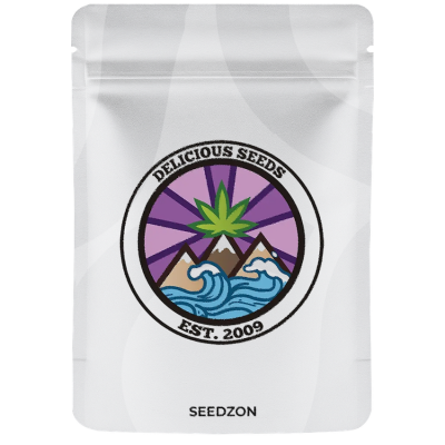 Golosa Early Version