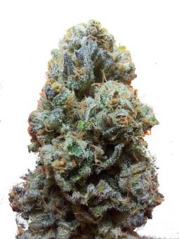 Banana Krumble - картинка 1