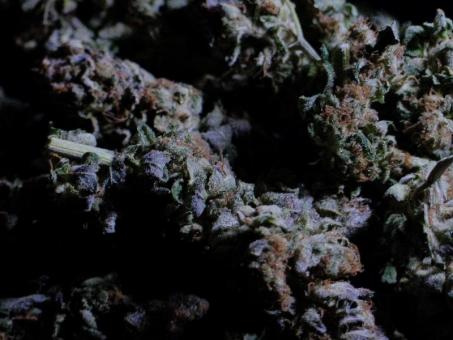 Glowstarz - картинка 6