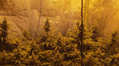 Mazar - картинка 5