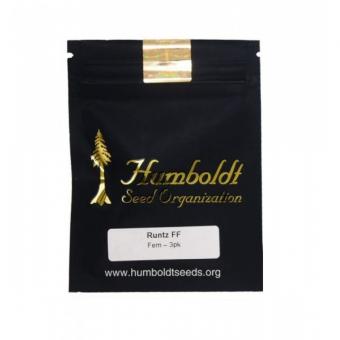 Runtz Fast Flowering - картинка 2