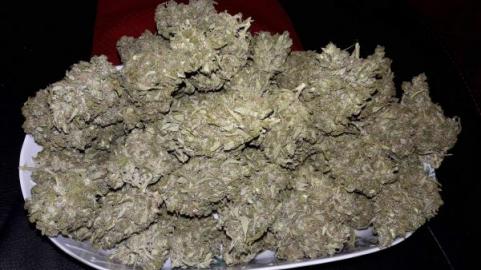 Warlock - картинка 3