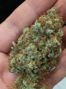 Blueberry Auto - картинка 3