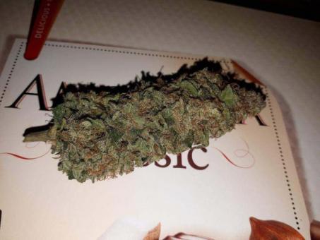 Buddha Syrup Auto - картинка 4