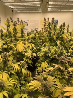 The Church - картинка 3