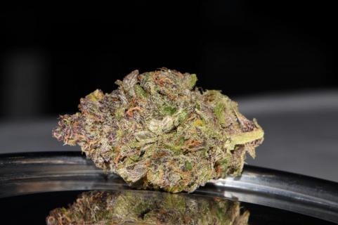 Smoothie Auto - картинка 9