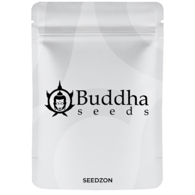 Buddha Auto White Widow