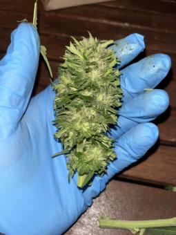 Passion #1 - картинка 1